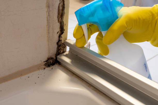 Best Mold Cleaning Services  in Milltown, NJ